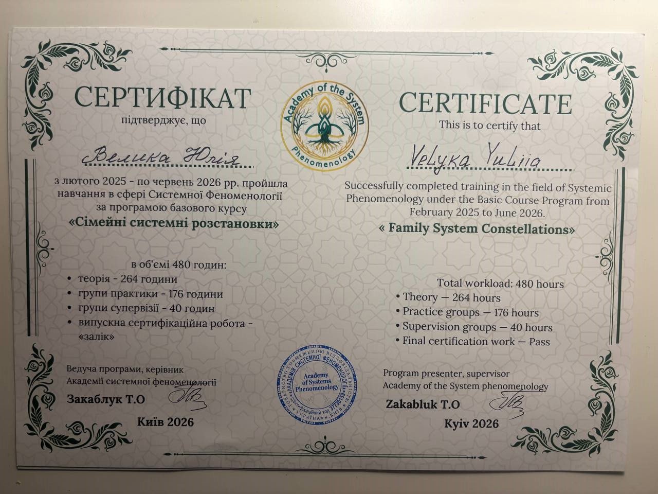 Сертифікат: Сімейні системні розстановки, 480 годин